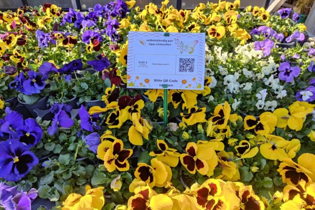 Gärtnerei & Floristik Klaus Hüskes